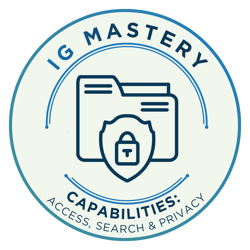 IGMS_icons-capabilities